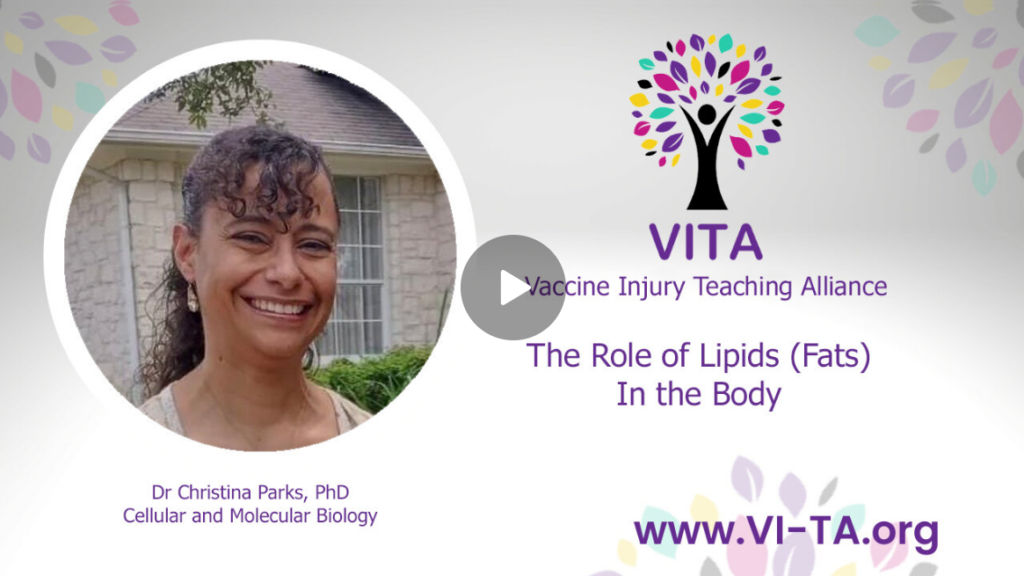 The Role of Lipids (Fats) in the Body